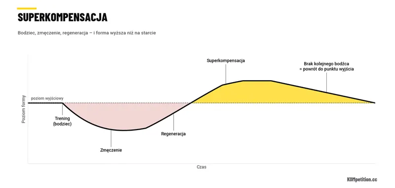 Wykres superkompensacji: bodziec, zmęczenie, regeneracja i wzrost formy